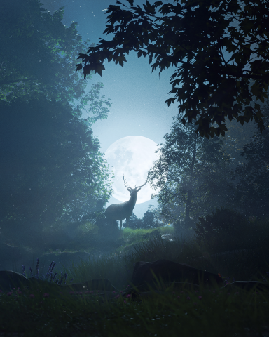 Moonlight