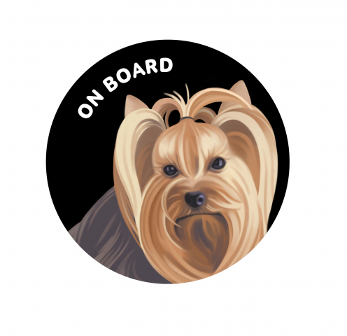 Йоркширский терьер