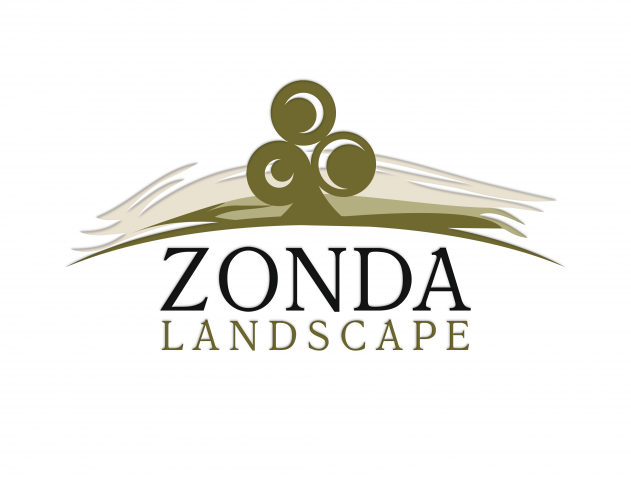 Zonda Landscape