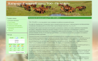 Племенной конный завод ТОО «TS-AGRO»
