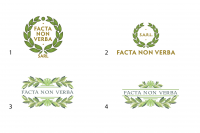 Facta non verba