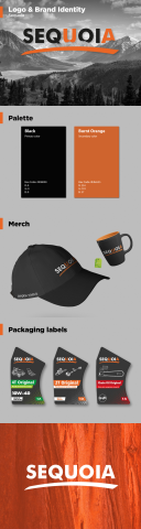 Logo Design and Brand Identity