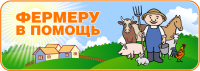 Работа 2439273