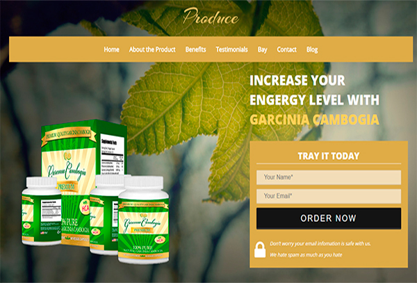 HTML Landing Page