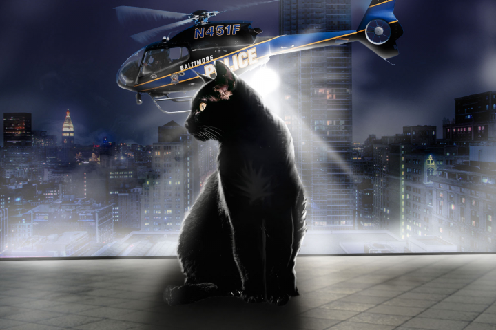 Работа 4130475