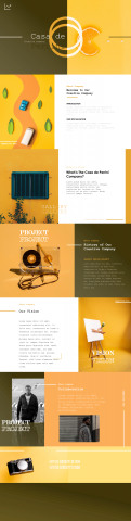 Business project