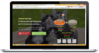 Landing page для продажи игрушки для кошек под ключ