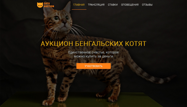 Аукцион бенгальских котят