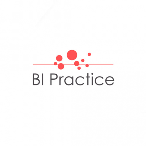BI Practice - цифровизация бизнеса