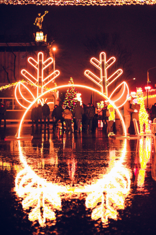 Новый год в парке ВДНХ 2019-2020
