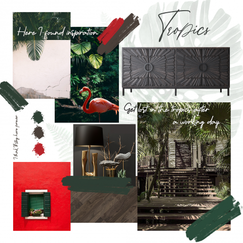 Тропики в городе