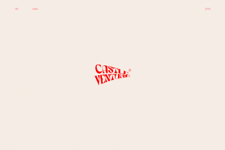 CASTLE VENTURES