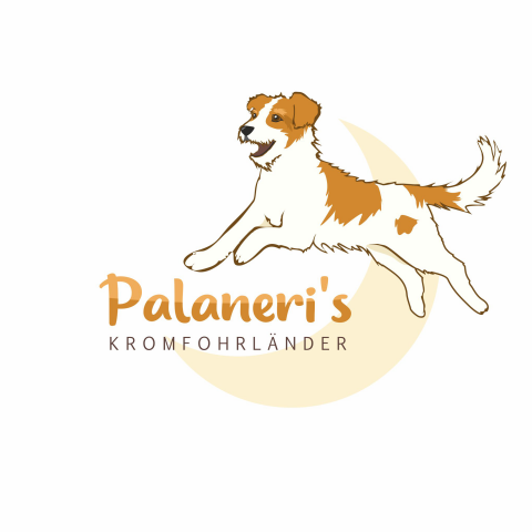 Palaneri's