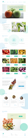 Organic food store landing page