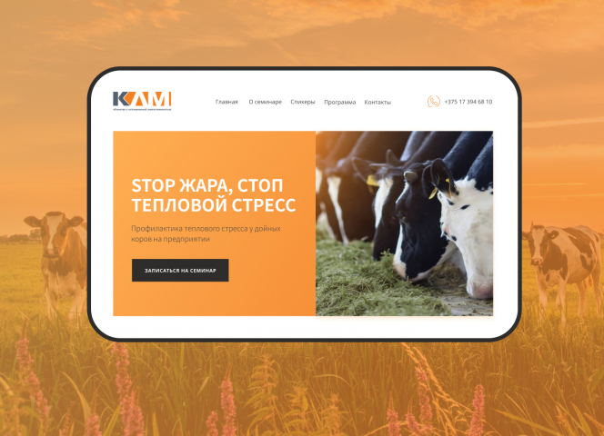 Landing page для семинара