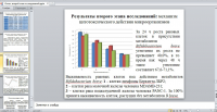 Презентация-отчет
