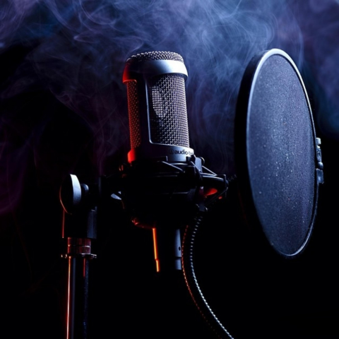 Услуги Диктора.