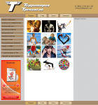 Дизайн сайта Территория Тренингов