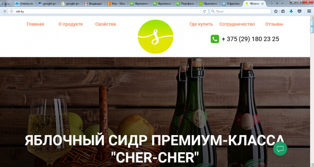 Создание и продвижение sidr.by