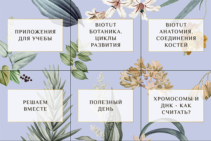 Инсталендинг