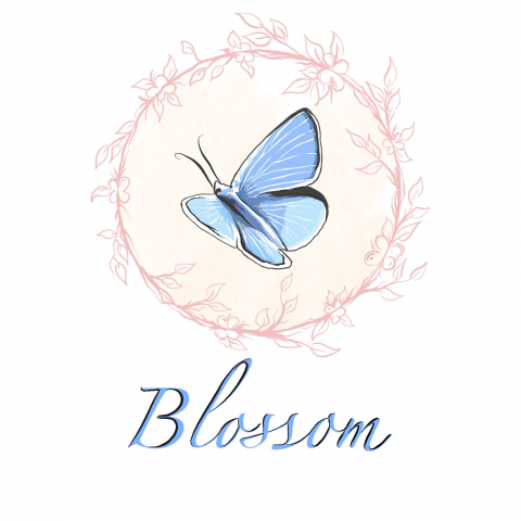 Салон красоты "Blossom"