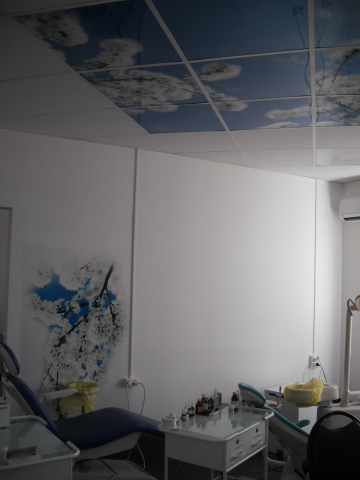 Кабинет. Световое потолочное пано