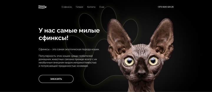 Лендинг