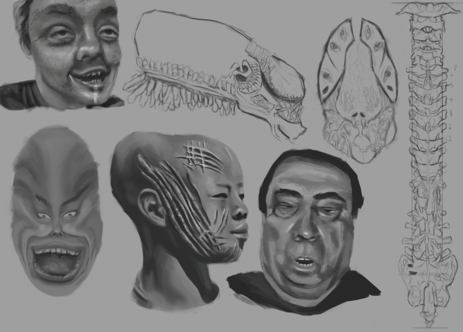 sketches