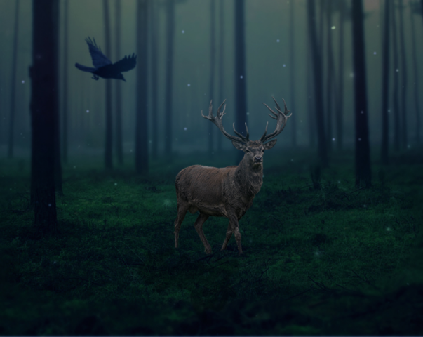 Mysterious nature
