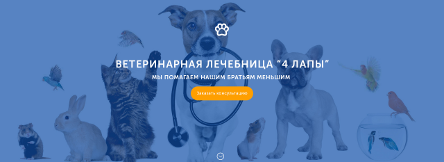 Ветеринарная аптека "4 лапы"