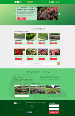 "Зеленя изгородь"