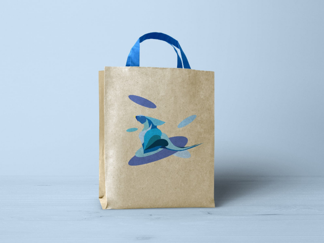 Дизайн пакета