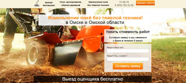 Лейдинг по измельчению пней