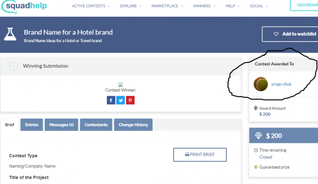 Победа в конкурсе "Brand Name for a Hotel brand"