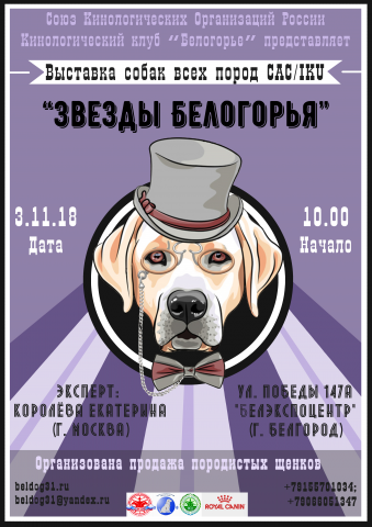 Рекламный баннер