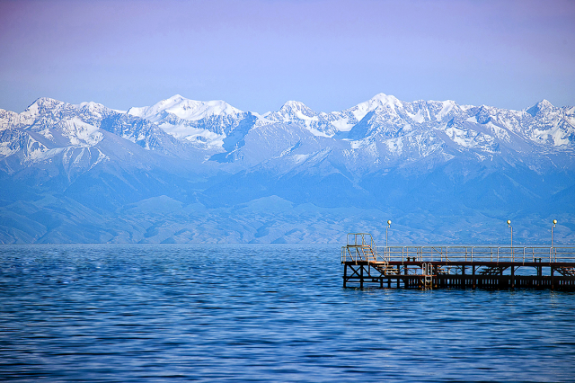 Работа 3208612