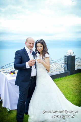 Работа 3208663