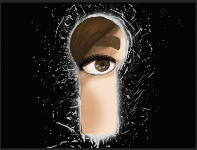 (adobe photoshop)