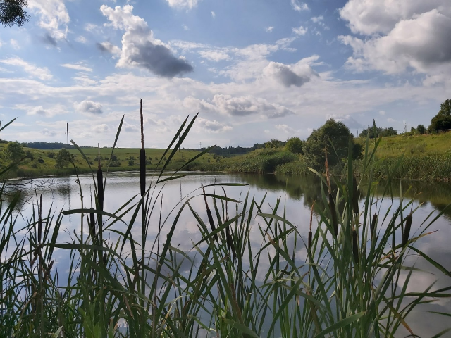 Река