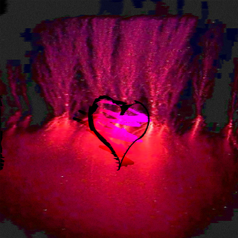 Touch the love