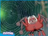 Гордость паука Шнюка