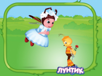 Цветы