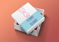 FUNNY BUNNY