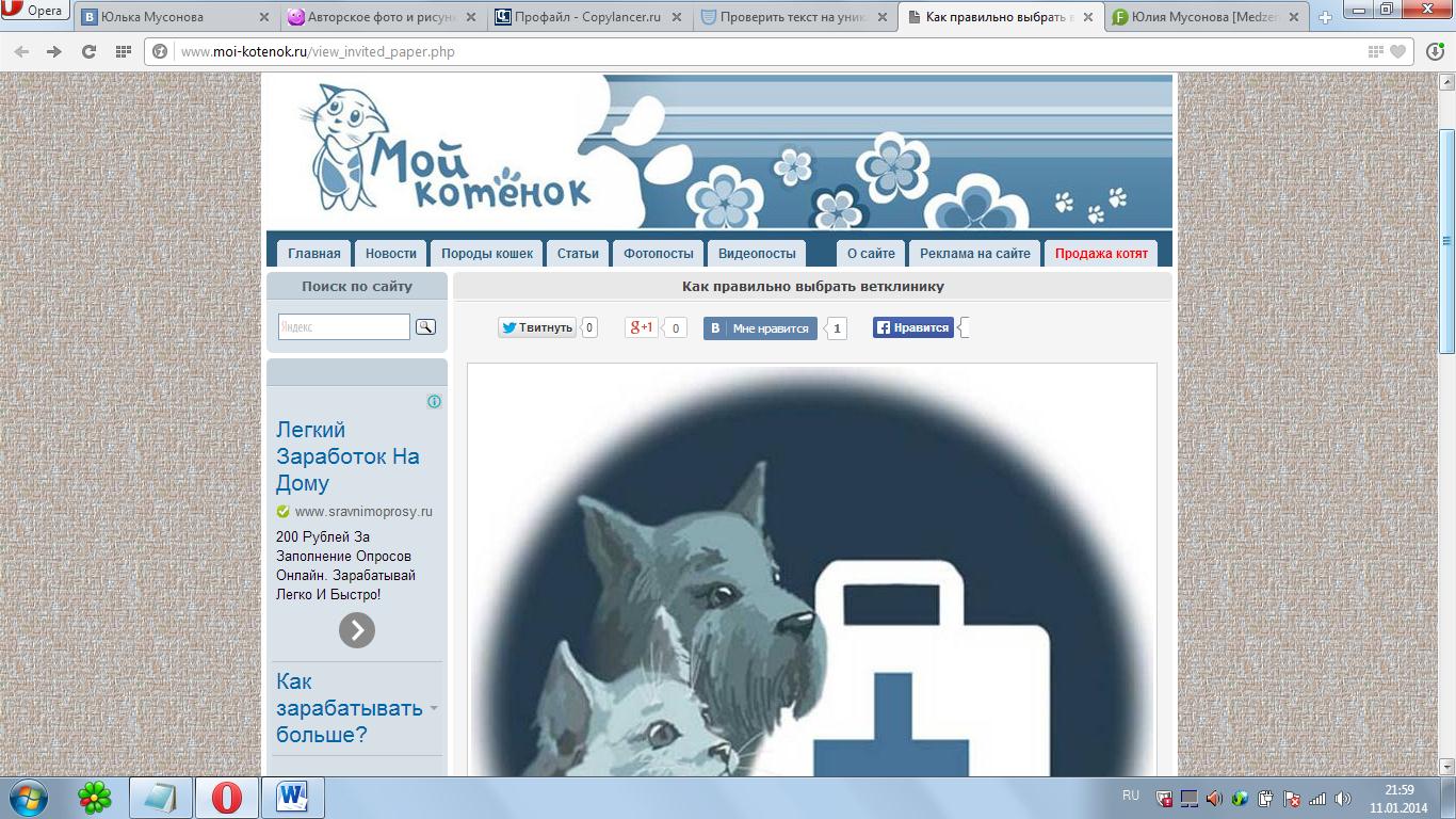 мой котенок.jpg