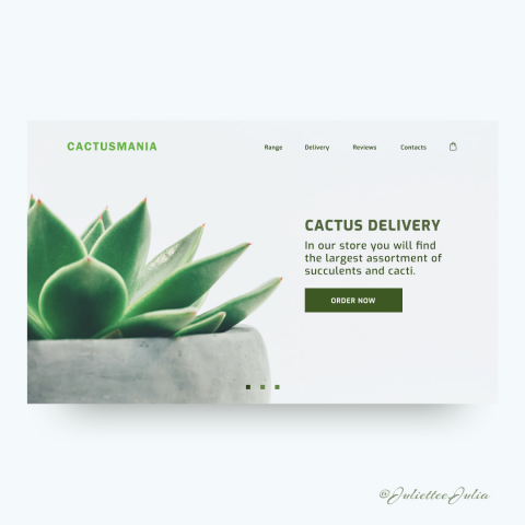 Landing page for cactuses services