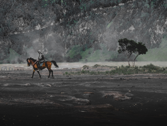 The Dead Horseman || Royalty free music