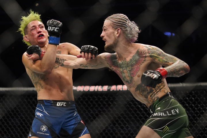 Бойцовского клуба