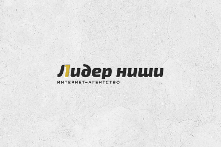 Лидер ниши