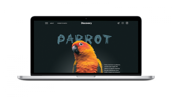 Parrot