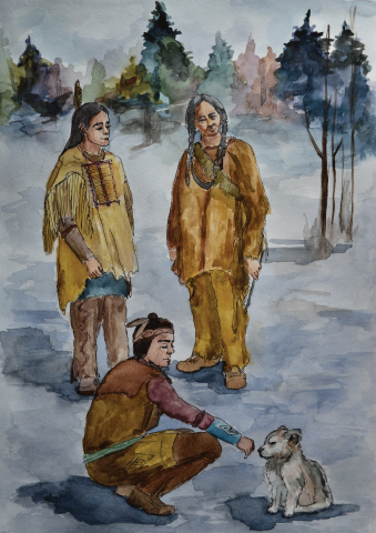 Акварельная иллюстрация к произведению "Белый клык"